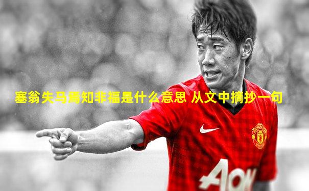 塞翁失马焉知非福是什么意思 从文中摘抄一句